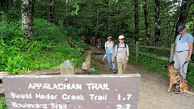 Where can you hike with dogs in Great Smoky Mountains National Park?