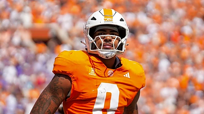 These Tennessee tight ends replace Ethan Davis after season-ending ACL injury