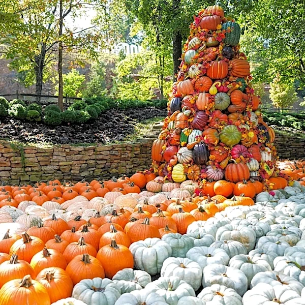 Your ultimate guide to fall festivals and haunts around East Tennessee