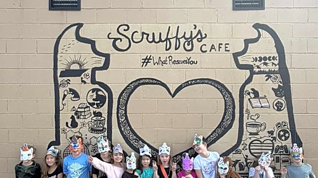 Shopper Blog: Scruffy’s Cafe pairs cat adoptions with mental health support