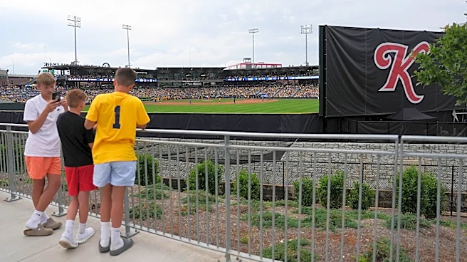 Boom Ball bringing its spin on the Savannah Bananas formula to Knoxville