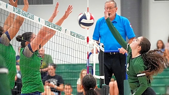 Vote for the top midseason volleyball player of the year in the Knoxville area