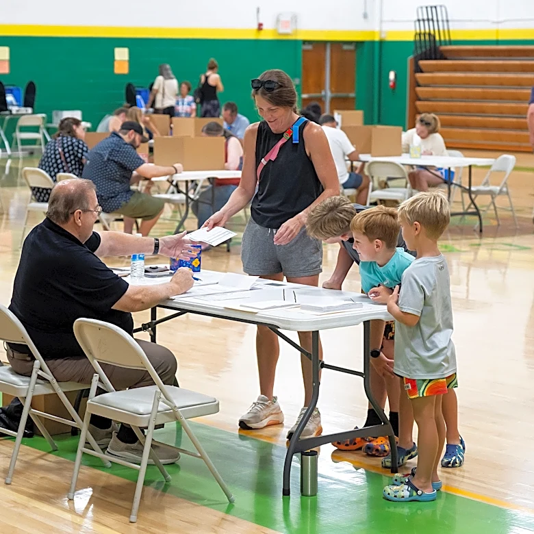 If you're weighing whether to vote here or somewhere else, these are the rules