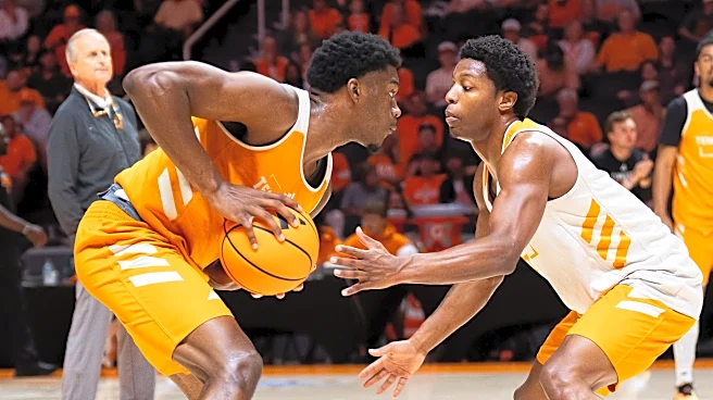 Meet Tennessee basketball's 13 new players for the 2026-27 season