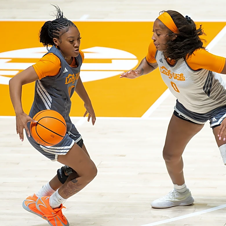Meet Lady Vols basketball's 15 new players for Kim Caldwell's third season