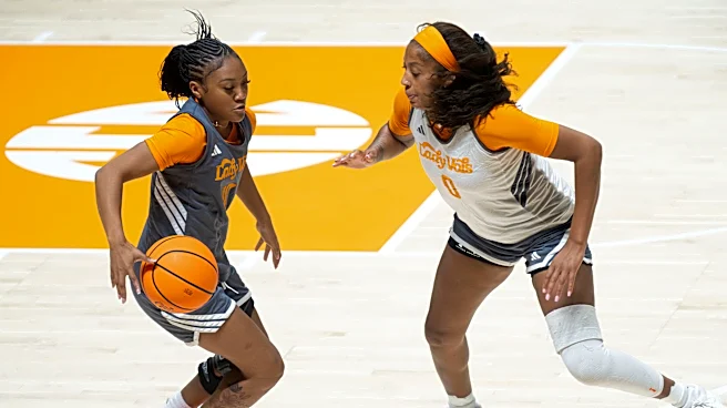 Meet Lady Vols basketball's 15 new players for Kim Caldwell's third season