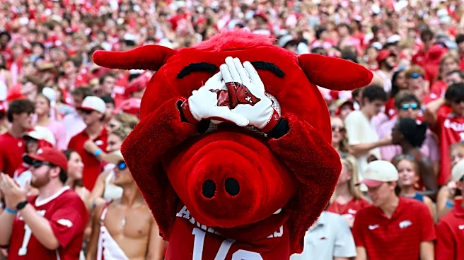 100 simulations of Tennessee football vs. Arkansas predict roasted hog