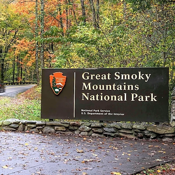 Newfound Gap Road in Great Smoky Mountains to close due to Hurricane Isaias
