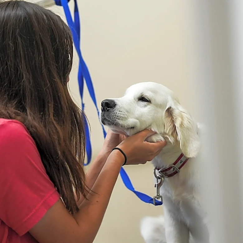 Veterans and first responders get gift of a lifetime − a service dog