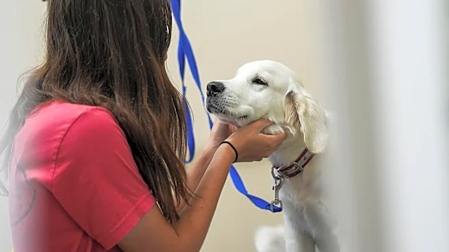 Veterans and first responders get gift of a lifetime − a service dog