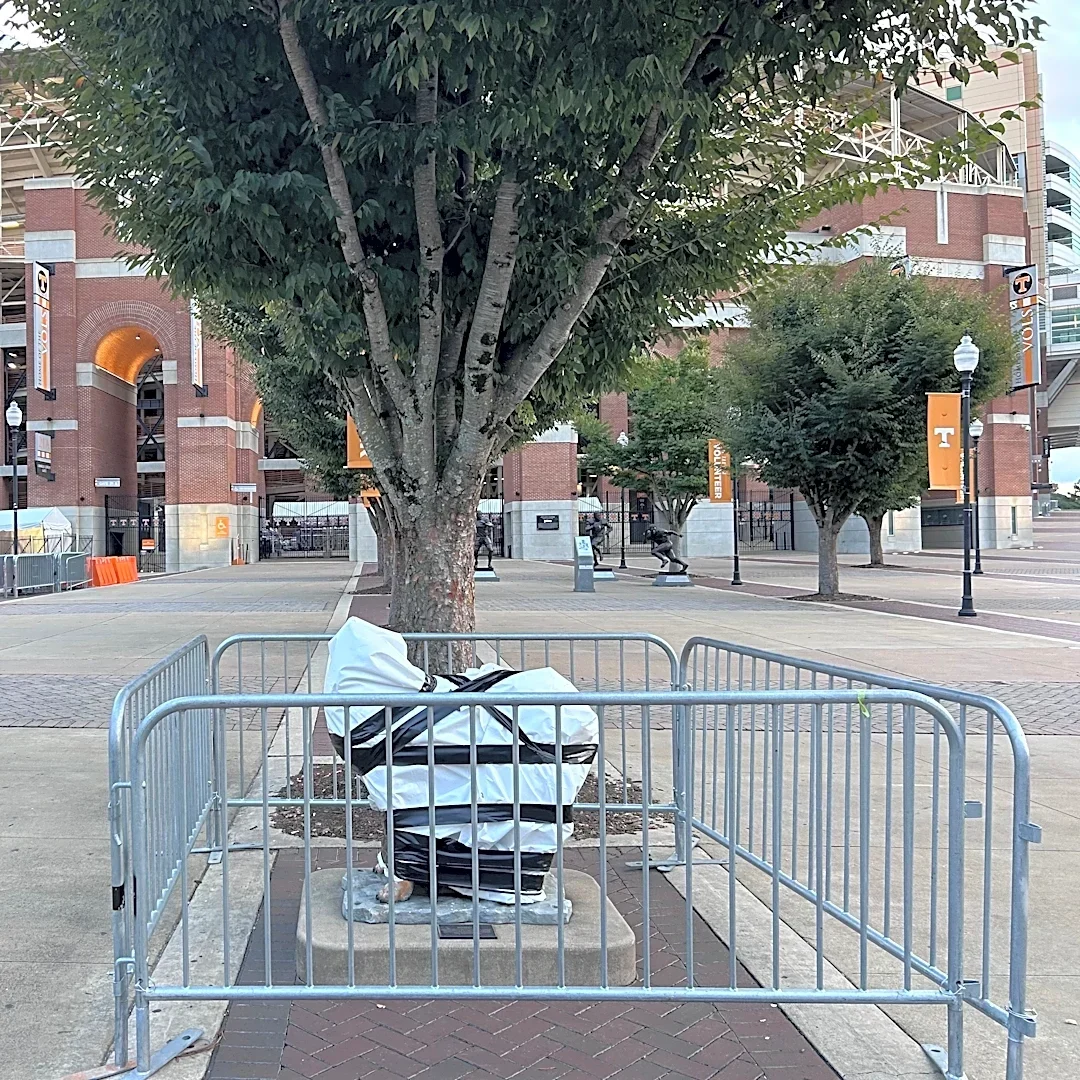 19-year-old faces felony charge after Smokey statue damaged at Neyland Stadium