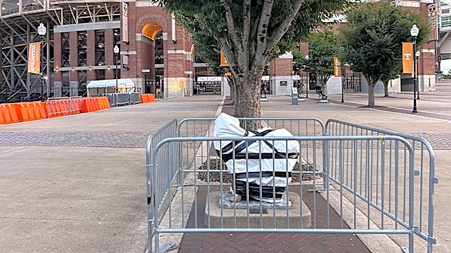 19-year-old faces felony charge after Smokey statue damaged at Neyland Stadium