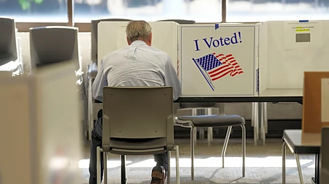 This election is also about Constitution, charter amendments | Opinion