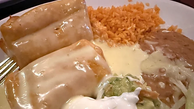 New restaurant serves tasty array of classic Mexican dishes | Grub Scout