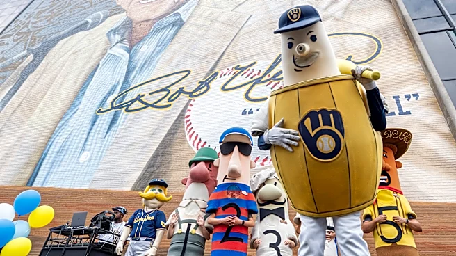 Fantastic photos of MLB mascots