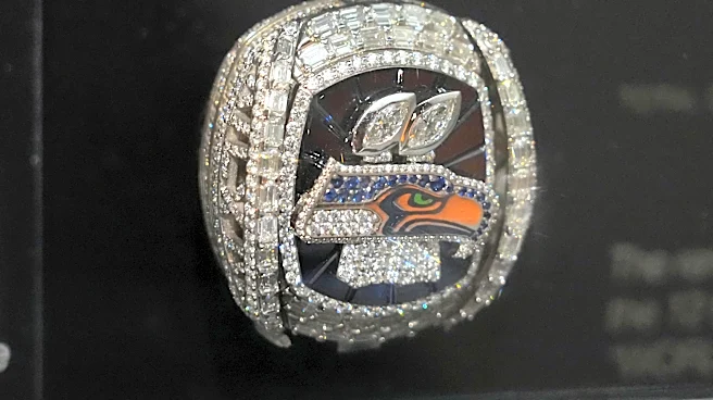 Bold predictions for NFL playoff teams and Super Bowl 61 champion