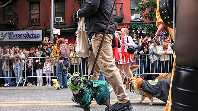 Best images from Tompkins Square Halloween Dog Parade