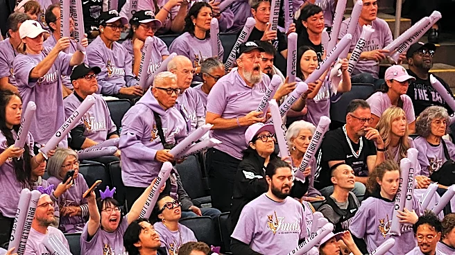 What is a valkyrie? The history behind the WNBA team nickname