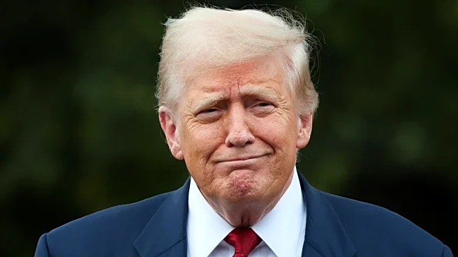 The Plastic Surgery Procedures Donald Trump Could Benefit From, According To An Expert