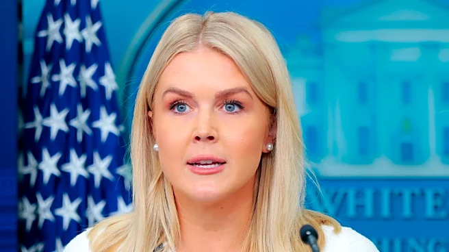 The Leggy Karoline Leavitt Look That Accidentally Exposed Her Makeup Is Way Off Base