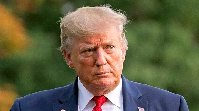Trump's Cheeto Tan Put On Blast Next To Pasty Putin