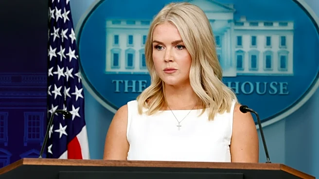 Karoline Leavitt's Dowdy Red Carpet Debut Was Disappointing In More Ways Than One