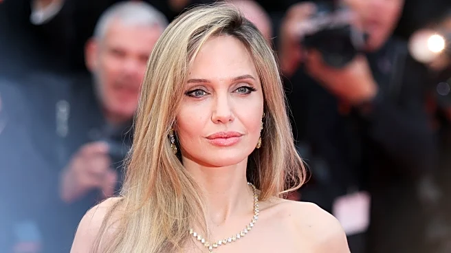 Angelina Jolie's Downfall From Fame, Explained