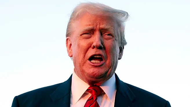 Trump Can't Hide How Deeply His Increasing Bald Spots Hurt His Self-Esteem
