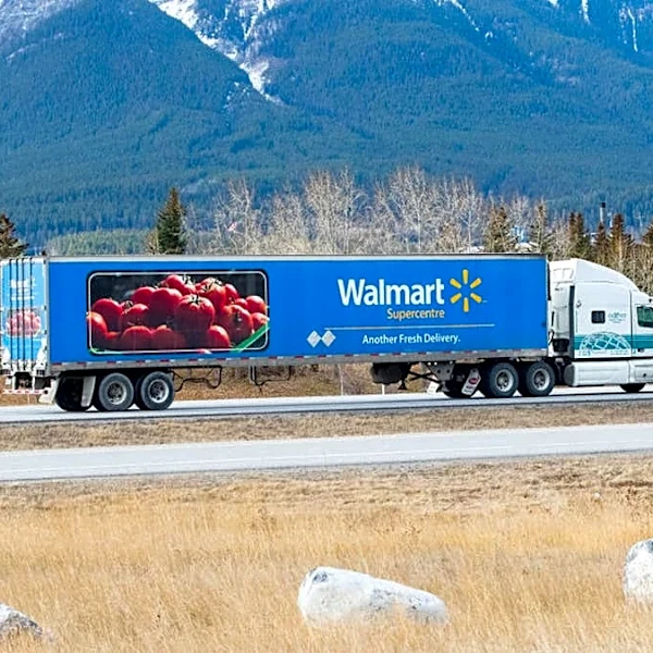 Walmart is selling a storage cabinet for just $53, and it provides extra shelf space