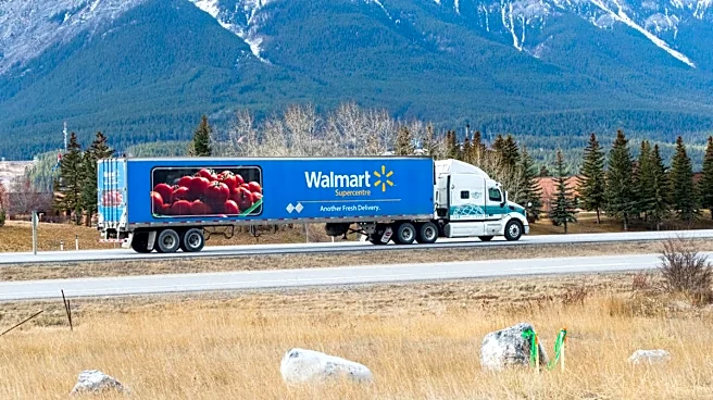 Walmart is selling a storage cabinet for just $53, and it provides extra shelf space
