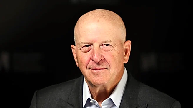 Goldman Sachs has a stark message on mutual funds and the Mag 7