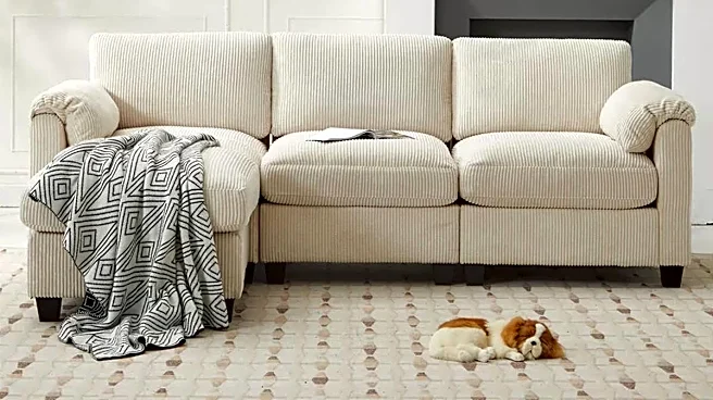 Maximize seating in your living room with a Target sectional sofa that's 50% off