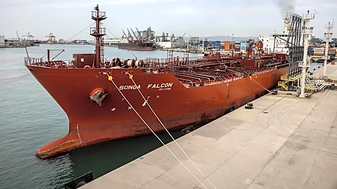 Louis Navellier says oil price drop hides bigger opportunity