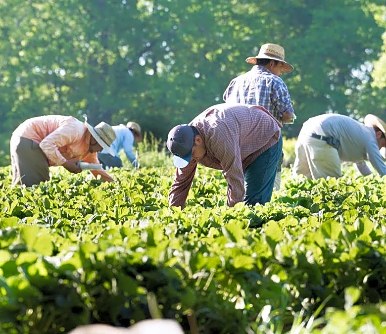 U.S. farmers face credit crisis amid Iran war fallout