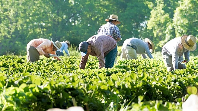U.S. farmers face credit crisis amid Iran war fallout