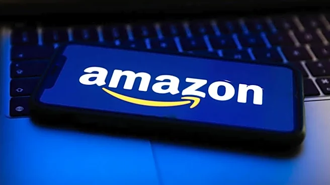 Amazon's battery organizer helps you stop wasting batteries, time, and money all at once