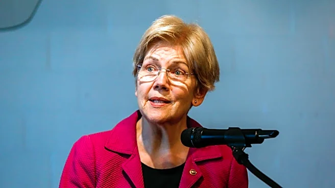 Elizabeth Warren has bold new plan to tax AI companies