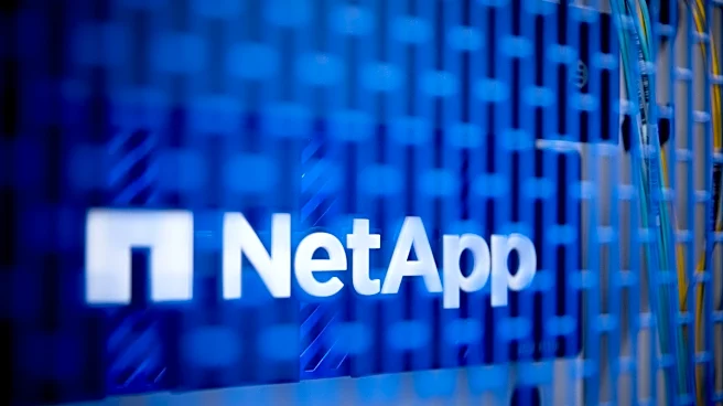 Morgan Stanley revisits NetApp stock price target after earnings