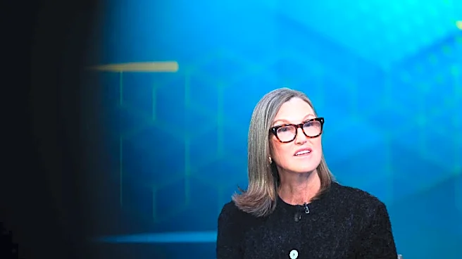 Cathie Wood favorite tech stock still down 73% from all-time highs