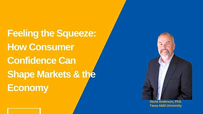 Feeling the Squeeze: How Consumer Confidence can Shape Markets and the Economy