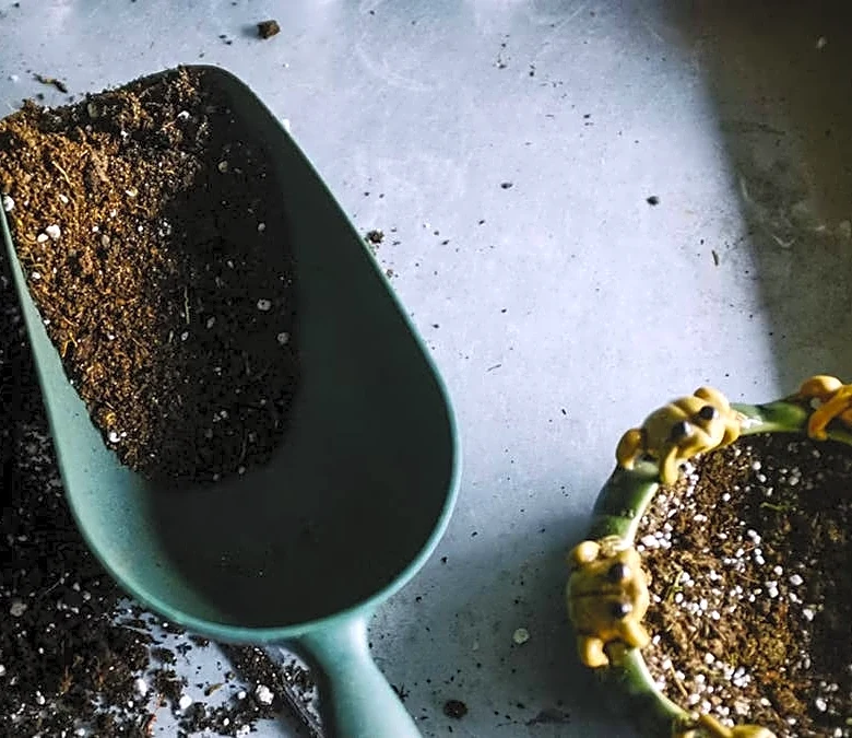 Garden tools and accessories to help you grow your own food at home