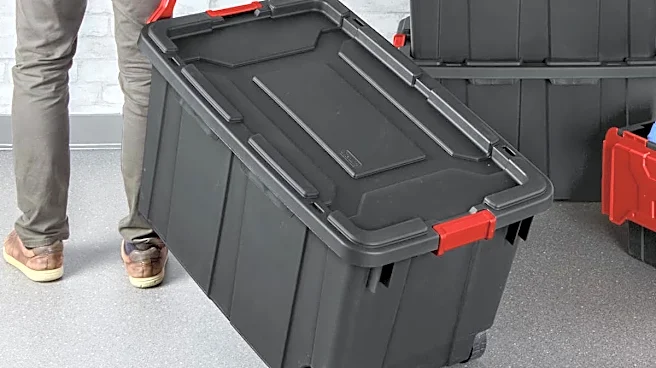 Plastic storage bins have more uses than you might think, and can even save you money