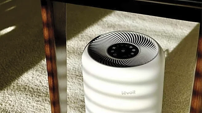 Why air purifiers are becoming a household essential