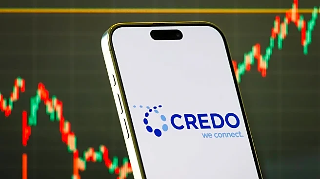 Wall Street delivers a surprising verdict on Credo stock
