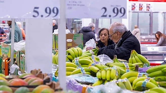 Costco stock price shocks market despite major blowout quarter