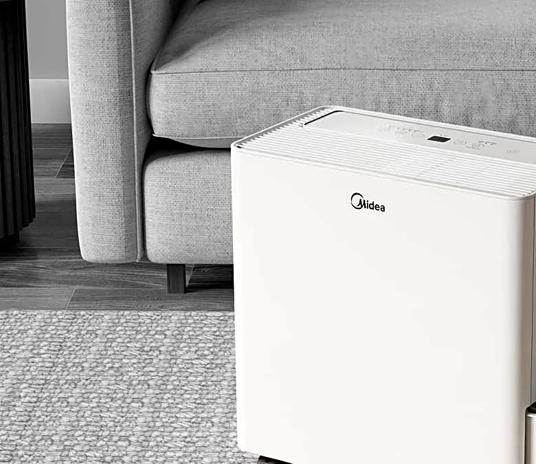 A dehumidifier is a summer investment that protects your home and health
