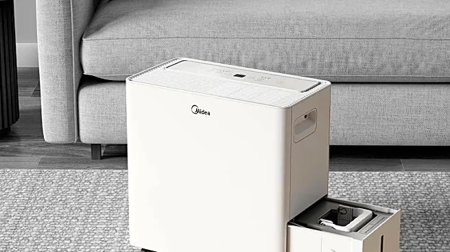 A dehumidifier is a summer investment that protects your home and health