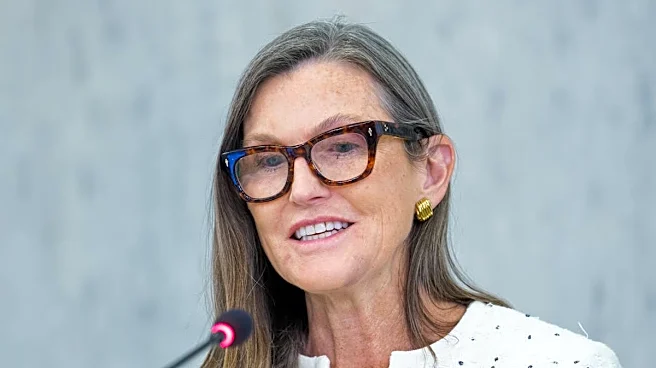 Cathie Wood says the real IPO opportunity is just beginning