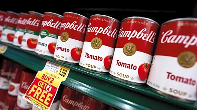 Top analysts reset Campbell’s stock amid major challenges