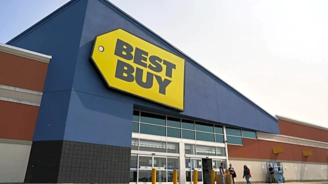 Best Buy bets big on controversial partner